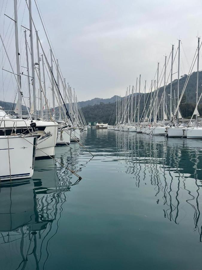 Son2Oda Gocek  Luaran gambar